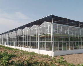 溫室大棚在建造時的注意事項有哪些？
